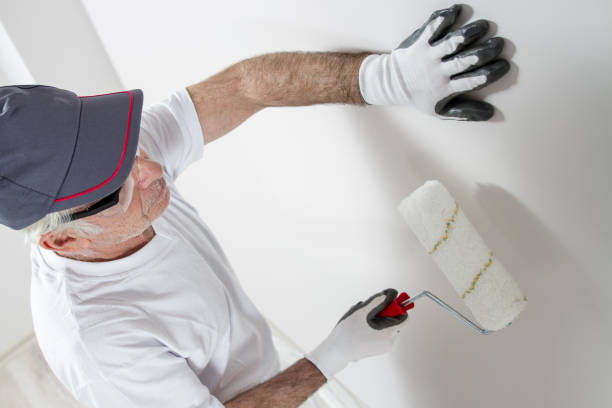 Best Black Mold Removal  in Cartervle, IL