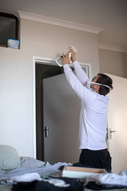 Best Mold Odor Removal Services  in Cartervle, IL