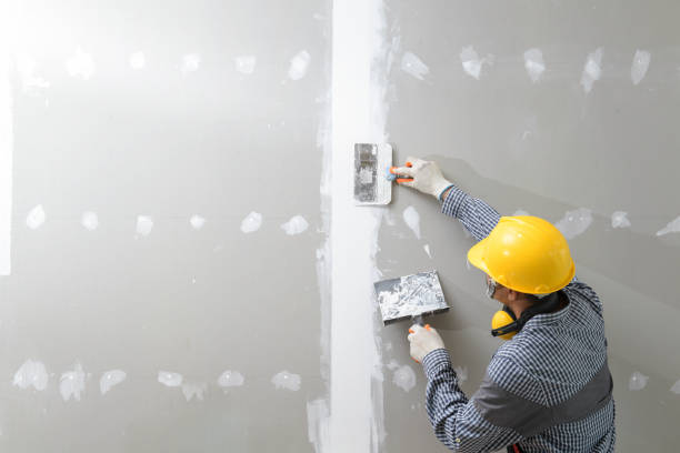 Best Asbestos and Lead Testing During Mold Inspection  in Cartervle, IL