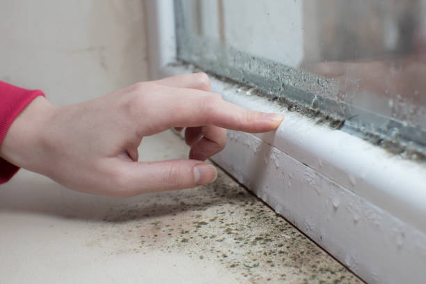 Best Residential Mold Inspection & Testing  in Cartervle, IL