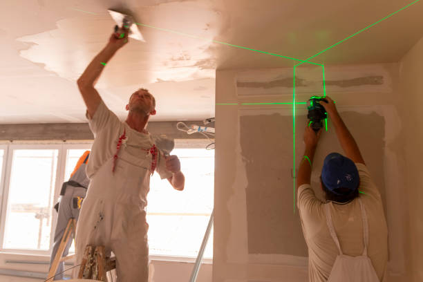Best Mold Remediation for Healthcare Facilities  in Cartervle, IL