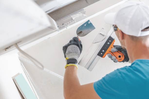 Best Crawl Space Mold Remediation  in Cartervle, IL